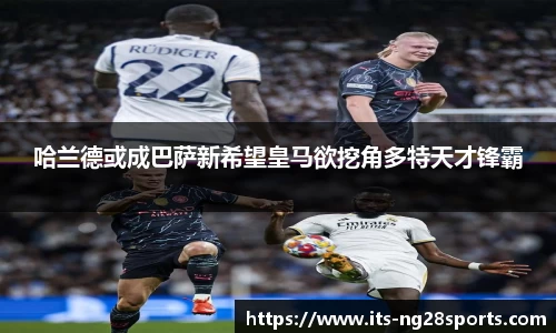南宫28官网